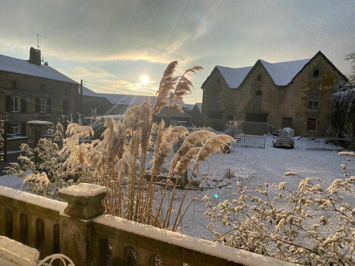 Le Chateau De Monthureux Le Sec エクステリア 写真
