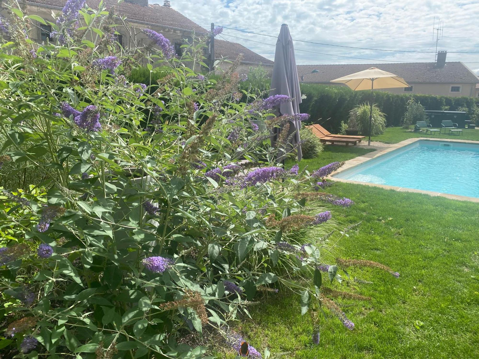 Le Chateau De Monthureux Le Sec エクステリア 写真