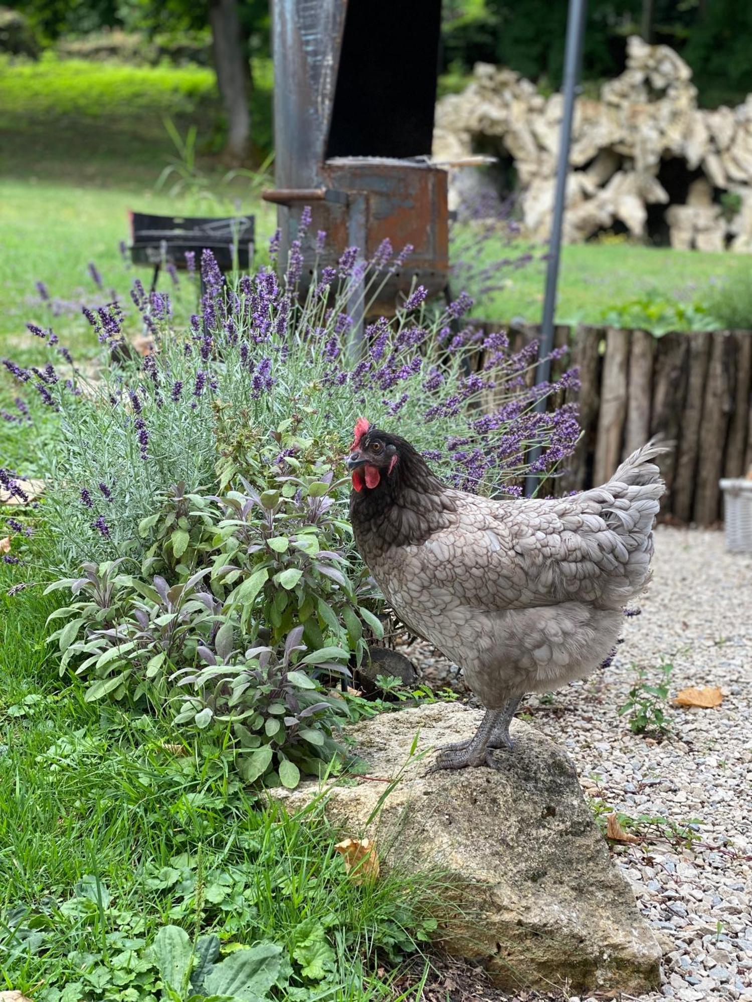 Le Chateau De Monthureux Le Sec エクステリア 写真